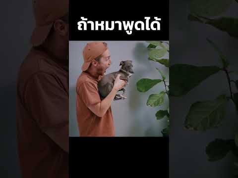 เมื่อหมาพูดได้ #mightymax #คลิปตลก #คลิปฮาๆ