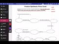 Protein Synthesis Concepts and Processes