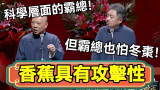 【香蕉具有攻擊性】郭德綱：科學層面的霸總！于謙：但霸總也怕冬棗！#郭德綱 #於謙#德雲社#德云社最新相声 #郭麒麟