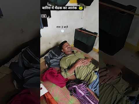 बारिश में मेंढक का आतंक 🌨️🐸😂