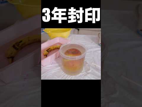 ３年レジンで封印したリンゴ(´ω｀) PDS #shorts