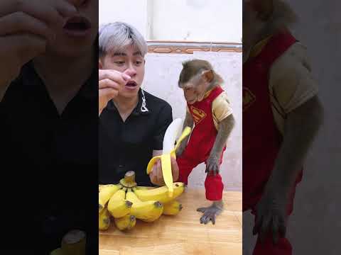 Chicken Banana 🍌what banana is this? The smart monkey wished he could eat bananas #banana  #food