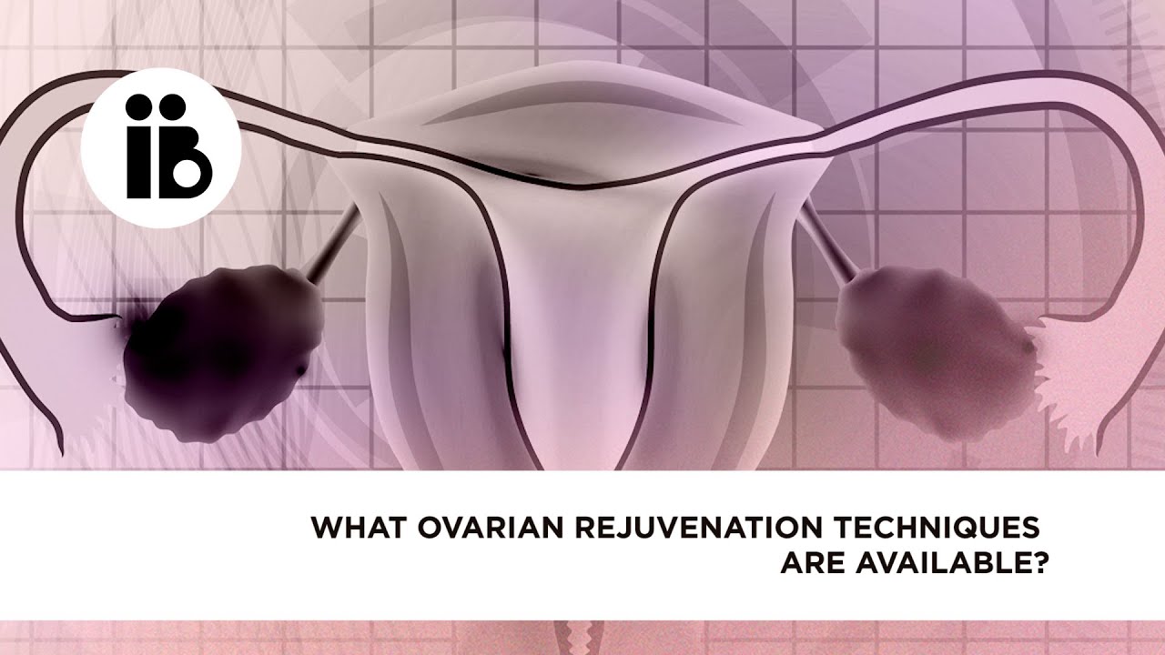 What ovarian rejuvenation techniques are available?