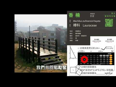 義方樹木碳匯