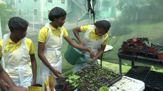 YouTube video thumbnail: Cook Caribbean Summer Camp Celebrates Eighth Year of Revival