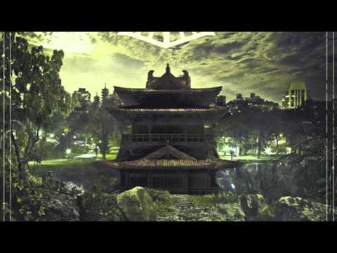 ✦ IAM - Sombres manoeuvres / Manoeuvres sombres (rapfr)