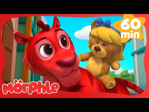 Teddy Bears 🧸 | Fun Animal Cartoons | @MorphleTV  | Learning for Kids