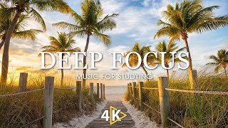 Focus Music for Work and Studying, Background Music for Concentration, Study Music #11