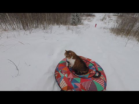 Катаемся с горки с котом.