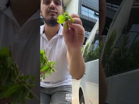 Kurban Bayramında Dikkat Edilmesi Gereken 4 Şey #shorts