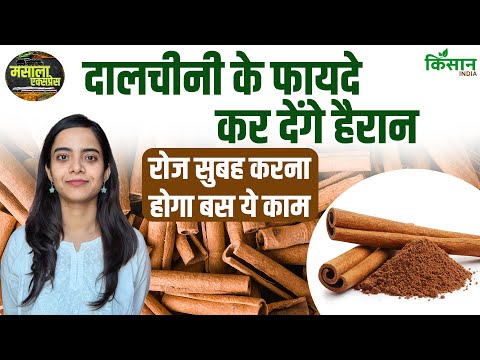 दालचीनी के चमत्कारी फायदे, हर रोज करें ये काम | Cinnamon Health Benefits | Masala Express