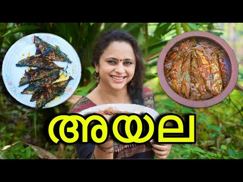 2 വ്യത്യസ്ഥ അയല രുചികൾ, അയല വറ്റിച്ചത് , Ayala green pepper fry, Mackerel recipe Malayalam, Ayala