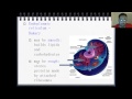 Cell Organelles and Their Functions