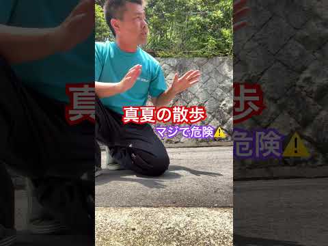 【火傷に注意！真夏の散歩は本当に気をつけて、、、！】