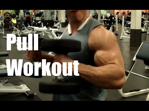 Killer Back, Biceps, and Traps Workout - Feat. AlbyGonzalezFitness