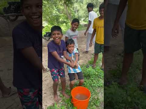 ഭീമൻ മീനുകിട്ടി 🐟😳🐟#pets #petsiconmanu #fish
