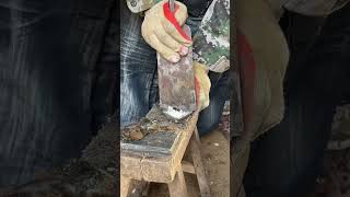 The shovel is too sharp! Twenty seconds to repair a donkey's hoof丨ASMR