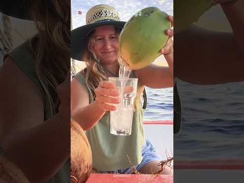 Simple Tips to Pick a Good Coconut 😱