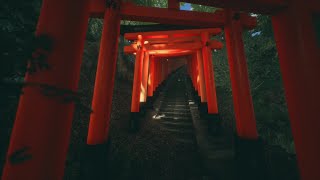 Explore Fushimi Inari Play [Summer]