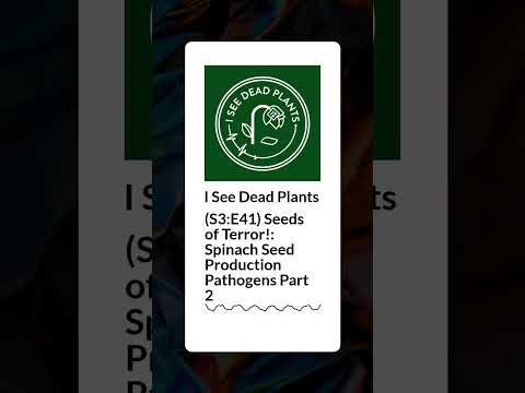 (S3:E41) Seeds of Terror!: Spinach Seed Production Pathogens Part 2 | I See Dead Plants