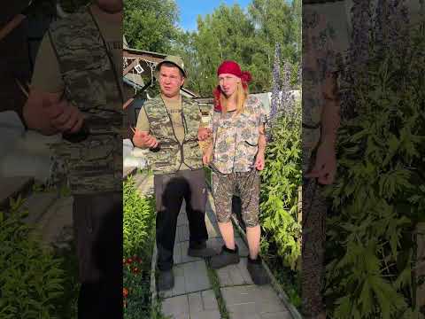 Приехали к бабушке🤣 #юмор #смешновидео #fannyvideo #прикол #смешнойшортс #собака #юмор #дача