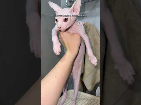 Как быстро растут дети😣🥝❤️