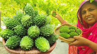 দুর্দান্ত স্বাদে গ্রাম্য পদ্ধতিতে ক্ষেতের টাটকা করলা রেসিপি FARM FRESH Amazing Bitter Melon Recipes