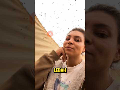 Cewek Ini Penasaran Rasanya Di Gigit Lebah #shortviral #viralvideo #lebah