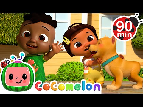 Different Kinds Of Pets 😺🐶🐹 | CoComelon | Nursery Rhymes for Babies