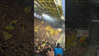 mein Stern borussia. BVB vs Köln #bundesliga #bvb #borussiadortmund