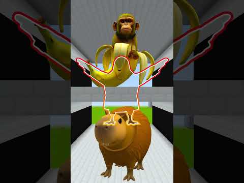 CAN YOU CATCH ORCALERO ORCALA TUNG TUNG TUNG SAHUR LIRILI LARILA TRIPPI TROPPI RAP SONG Garrys Mod