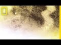 Understanding Earth's Core Dynamics