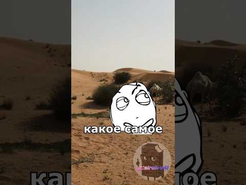 Самое выносливое существо в мире!