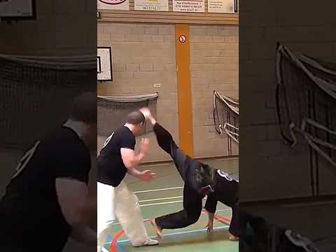 Pencak Silat