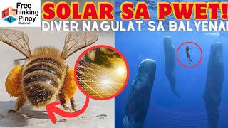 Fun Facts | Mga Hayop na may kakaibang Talento