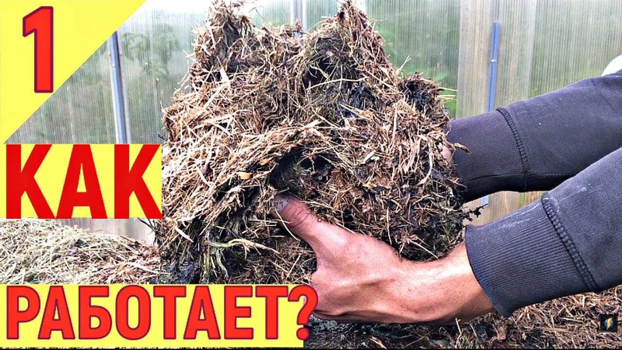 Горячая трава - активная мульча