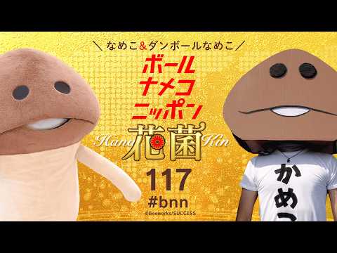 【#bnn】ボールナメコニッポン花菌 第117回