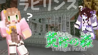 ＃4【 Minecraft / 黄昏の森 】いよいよ迷宮攻略だ～～～～～！！！！！！with咲良にま🎀🐱 【#星宮めぇぷる / #個人Vtu
