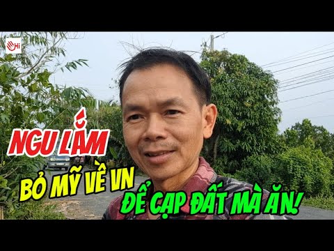 Chỉ Việt Kiều NGU mới bỏ Mỹ về VN để Cạp Đất mà Ăn như DTH!? Mắc Cười!