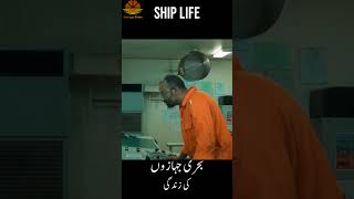 The Ship Life #ships #seaman #merchantnavy #captain #sealife #facts