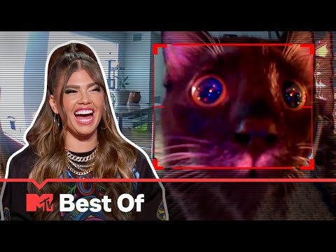 Ridiculousnessly Unforgettable Animals 🙊 SUPER COMPILATION | Ridiculousness