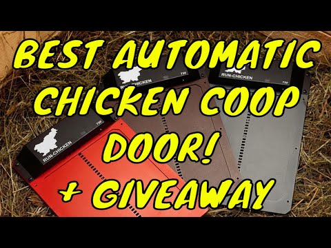 Run Chicken Automatic Coop Door Giveaway