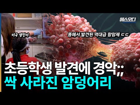 "암이 사라졌다" 어린애가 공원에서 우연히 발견한 '이것'... 의학계가 뒤집혔다