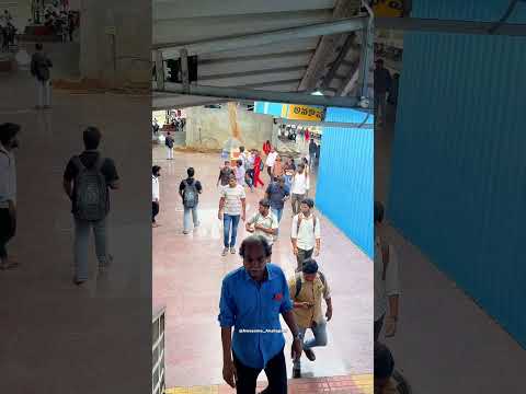 Diwali Holiday Ki Vachara Friends #diwali #diwali2025 #diwalicelebration #deepavali