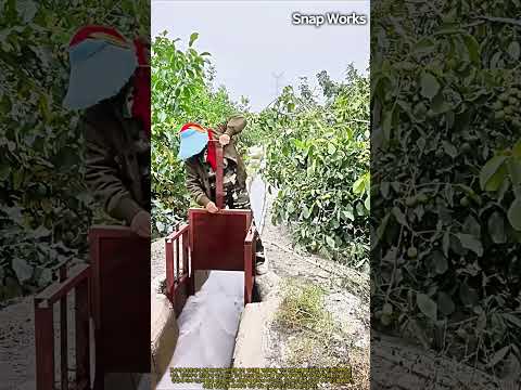 과수원 수량 조절용 수동 강철 게이트 개폐 과정 #worker #process #agriculture #waterflow #fieldwork