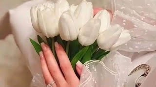 السلام عليكم ورحمه الله وبركاته.. أرجو من الجميع الدعاء... لأم زين بالشفاء العاجل