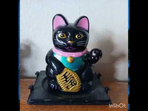 🕵🏻♀️🔎👀🙂🙃Mis fotos cobrando vida