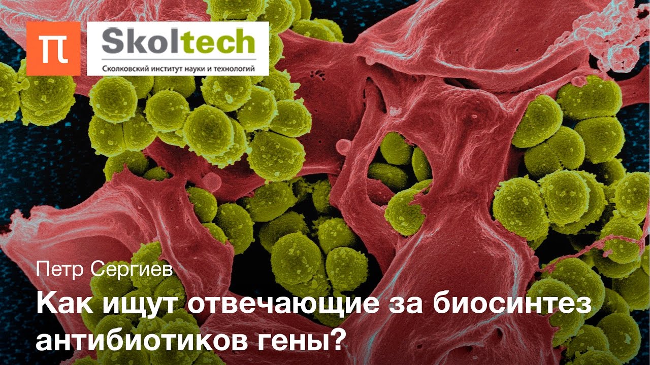 Новые антибиотики - Петр Сергиев