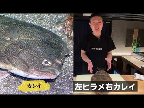 【完全公開】寿司屋の仕込み全部見せます|23年職人のリアル