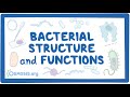 Bacterial Cell Structure and Function